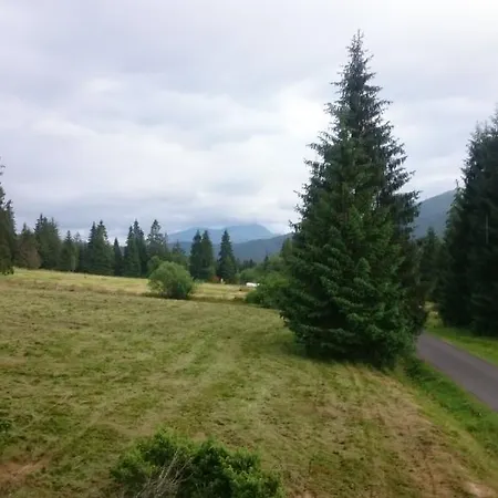 Pensjonat Alpsky Dom Witanowa